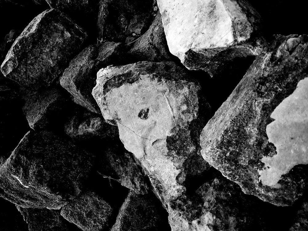 Photograph by Jyotiraditya Roy