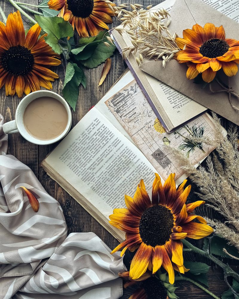 Подсолнухи