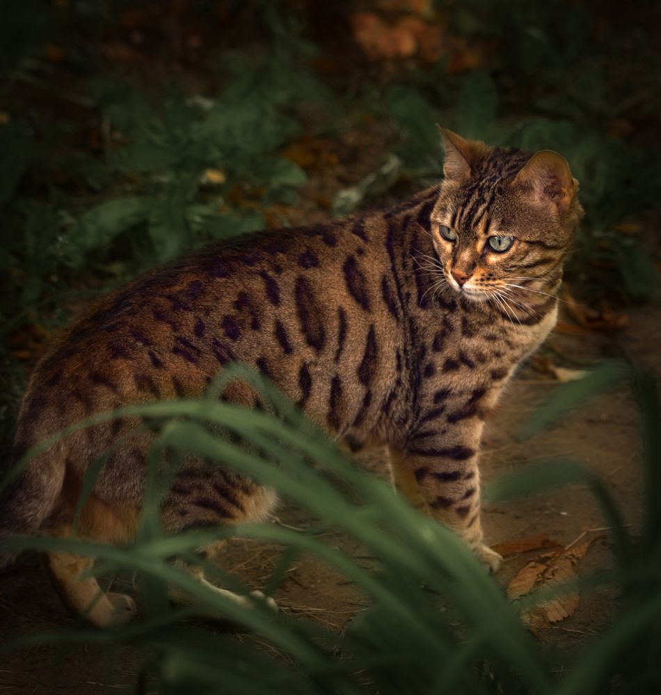 Photograph by Светлана Алексеева