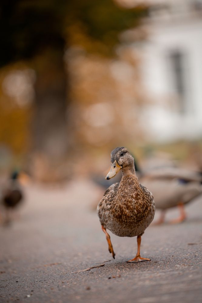 Photograph by Марина