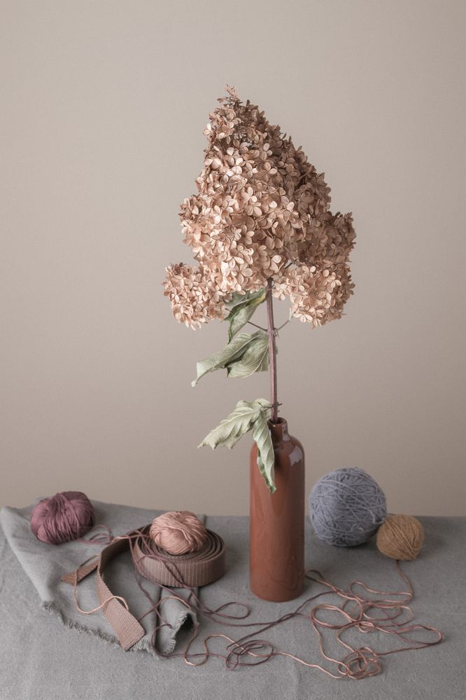 Photograph by Ольга Козлова