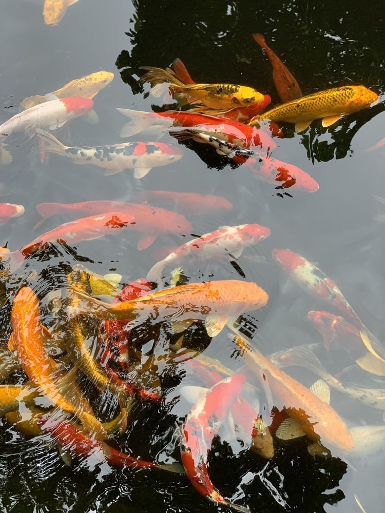 Photograph by Anna Poponina