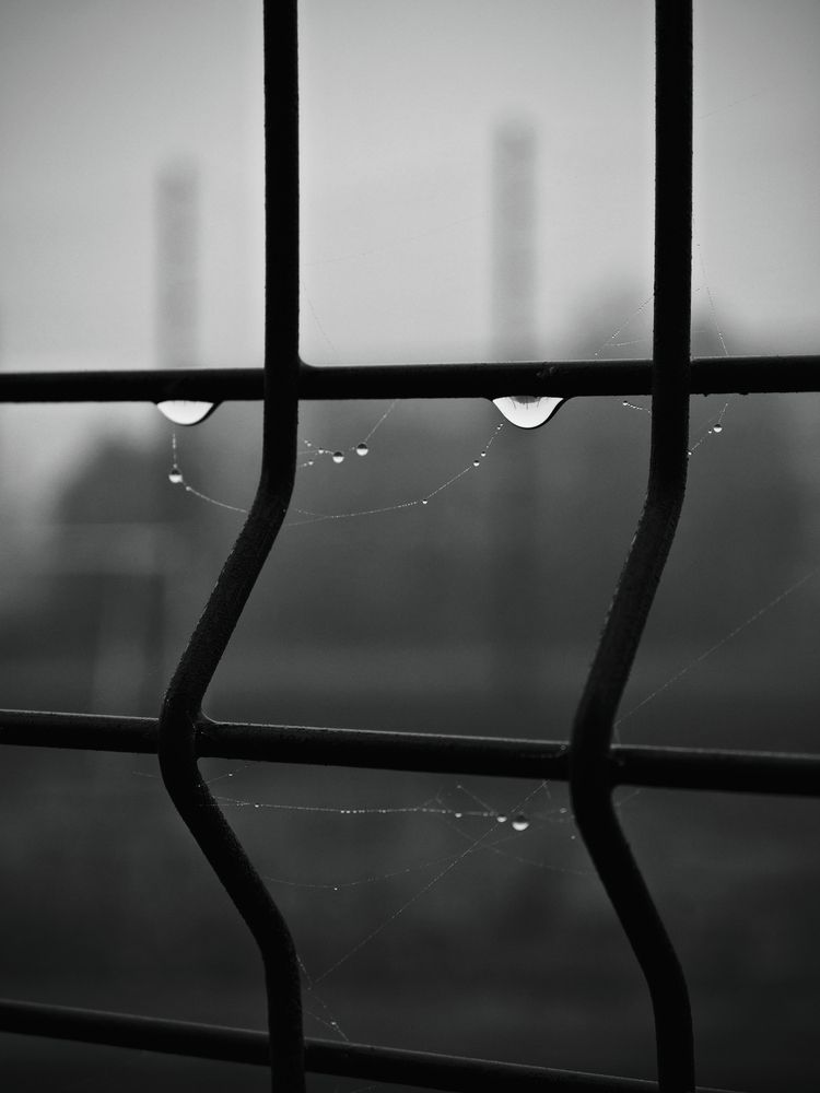 Недовольство