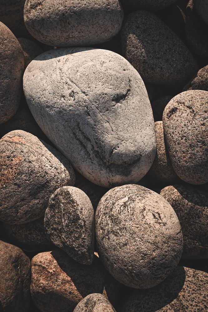 Фотография автора Наташа Данилова