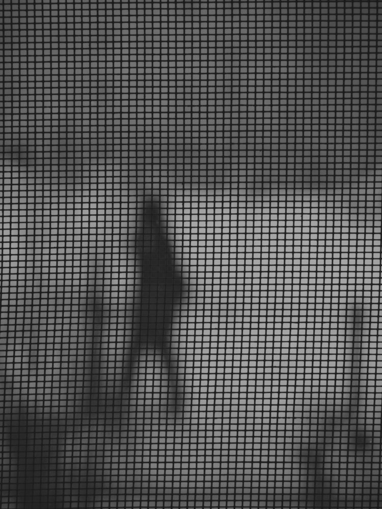 Незнакомка