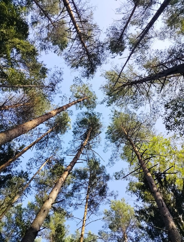 Фотография автора Наталья Драгун