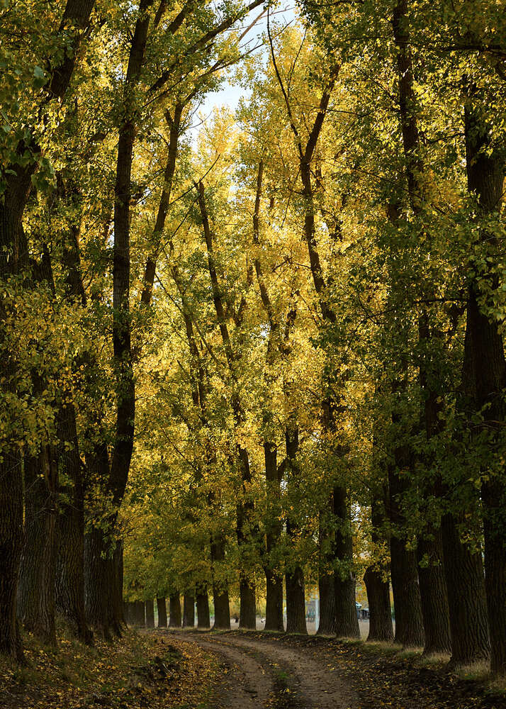 Photograph by Natalia Ghimp