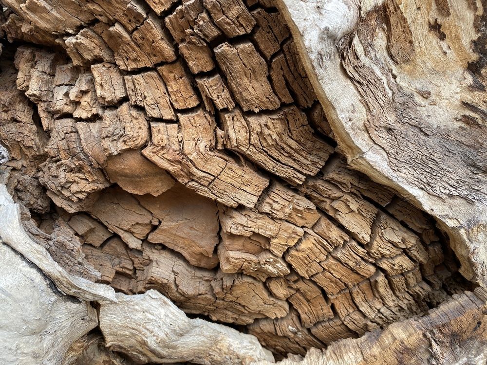 Photograph by Сергей Смирнов