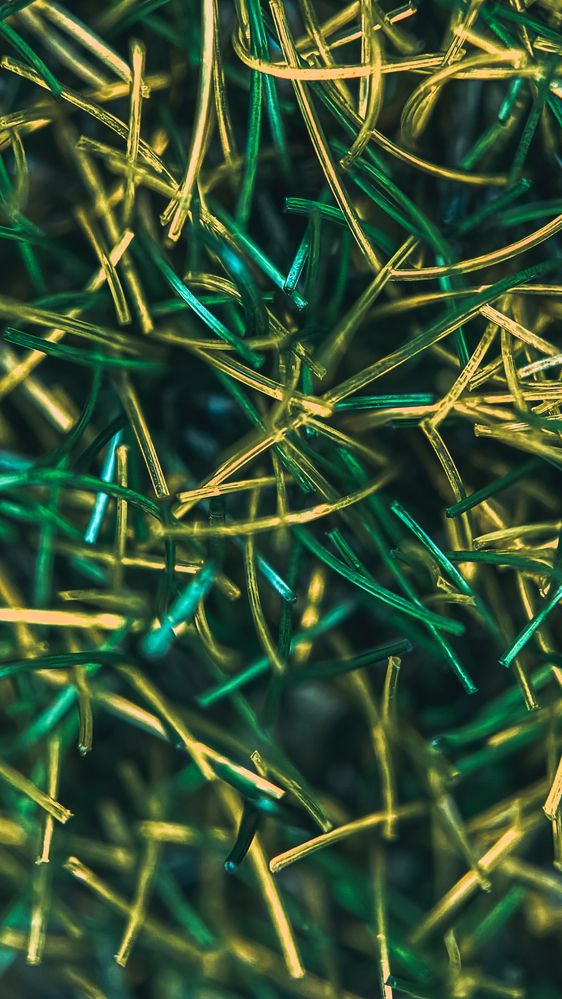 Фотография автора Ирина Павлова