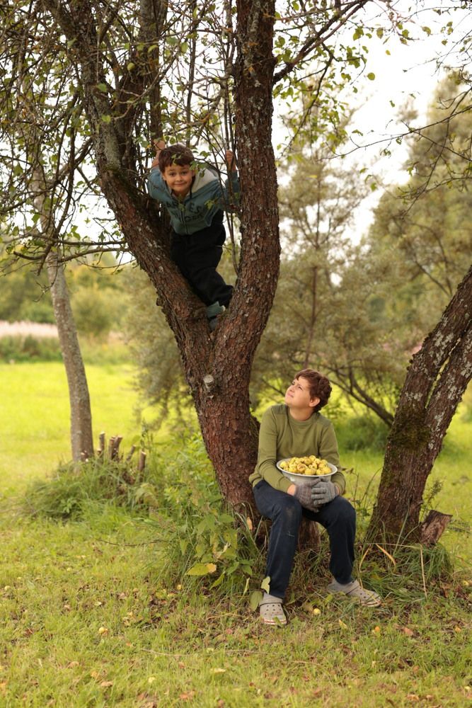 Photograph by Савиных Дарья