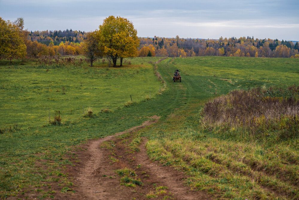 Photograph by Светлана Гаврикова