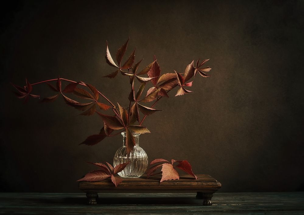 В терракотовом цвете