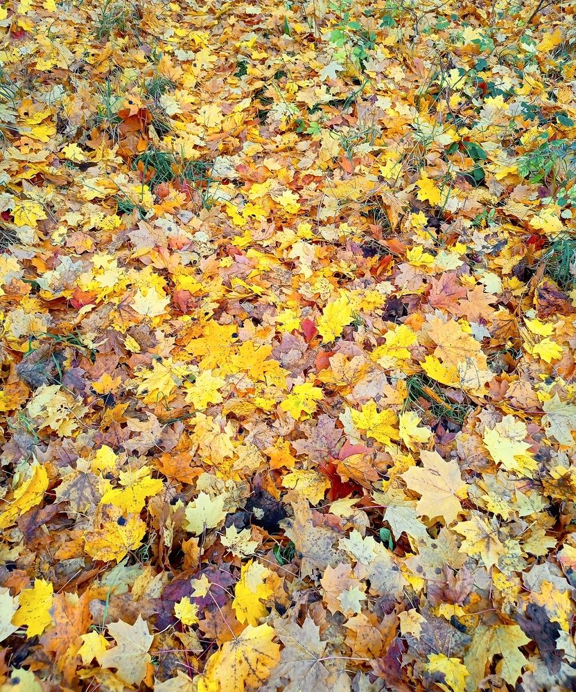 Photograph by Денис Умеренков