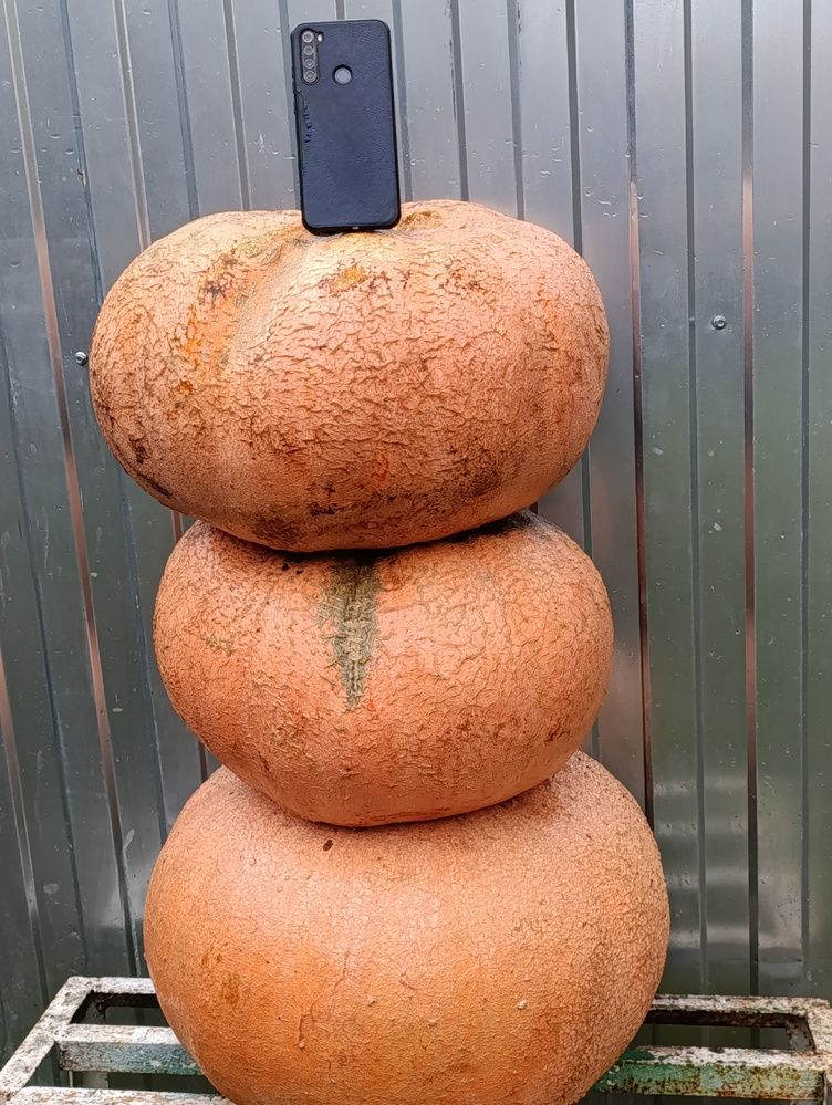 Photograph by Юрий Гордеев