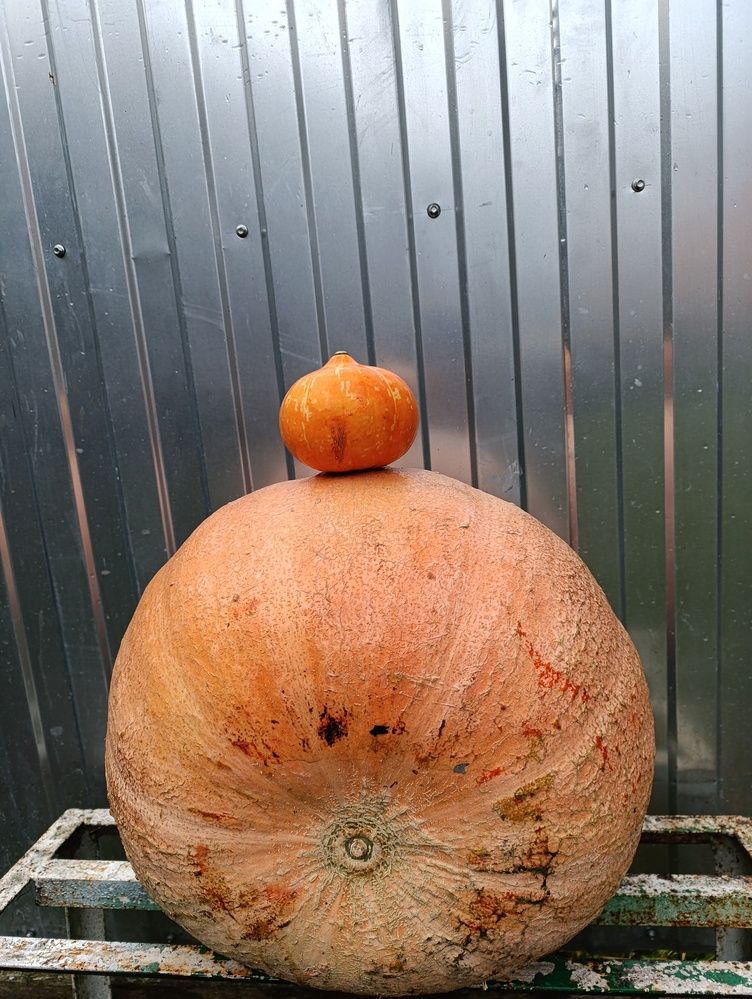 Photograph by Юрий Гордеев