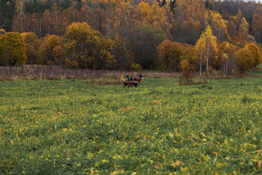 Photograph by Светлана Гаврикова