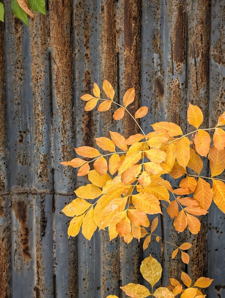 Photograph by AlexaL