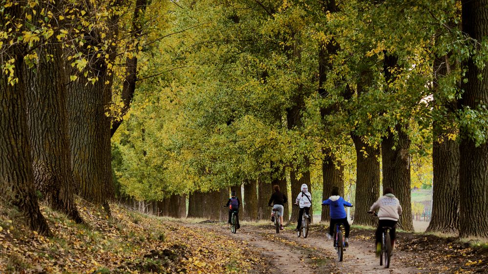 Photograph by Natalia Ghimp