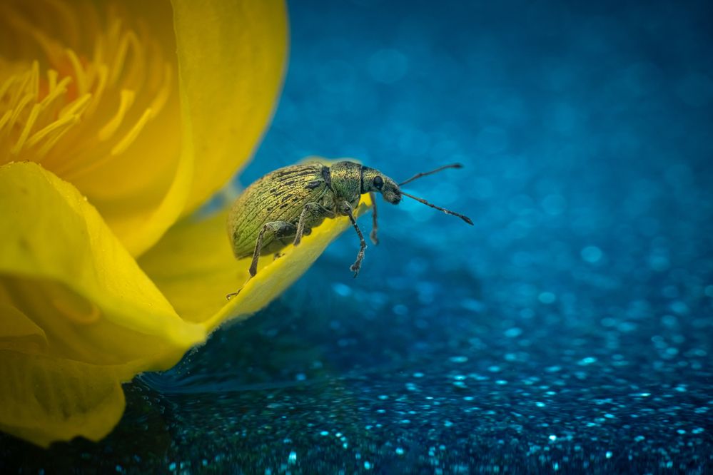 Photograph by Николай Фонарёв