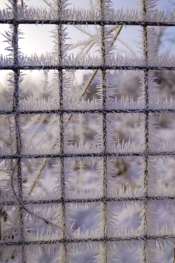 Photograph by Олег Алексеев