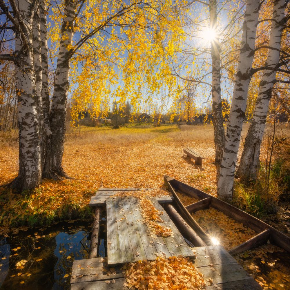 Photograph by Dmitry Medyancev