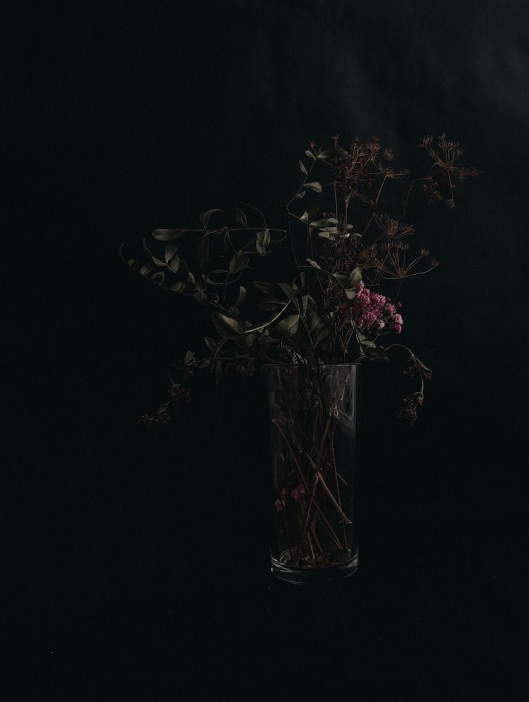 Photograph by Алия Латыйпова