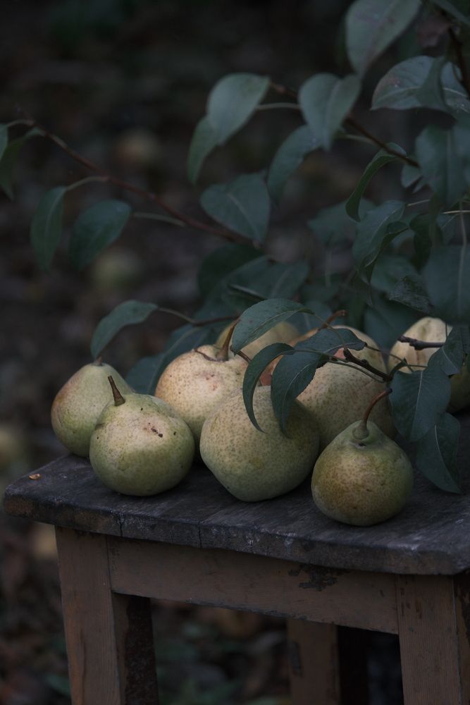 Photograph by Яна Истоцкая