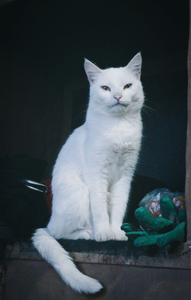 Photograph by Анастасия Скворцова