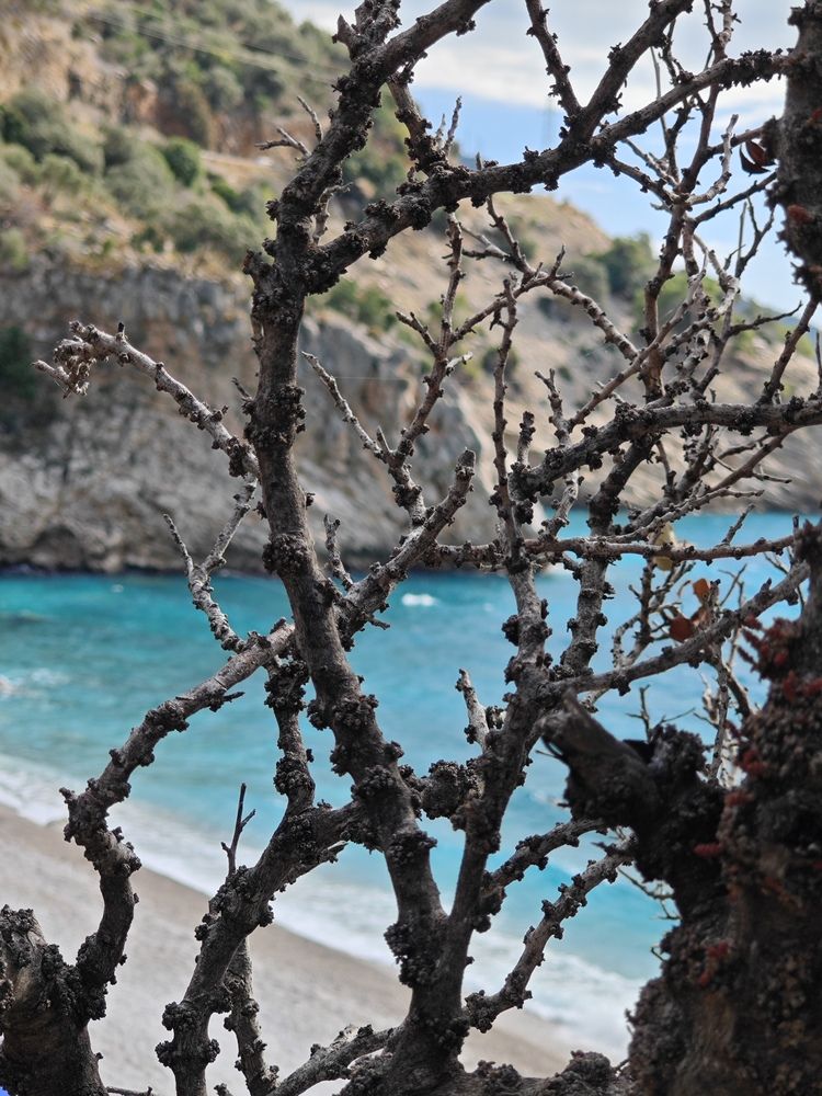 Фотография автора Ирина Кокшарова