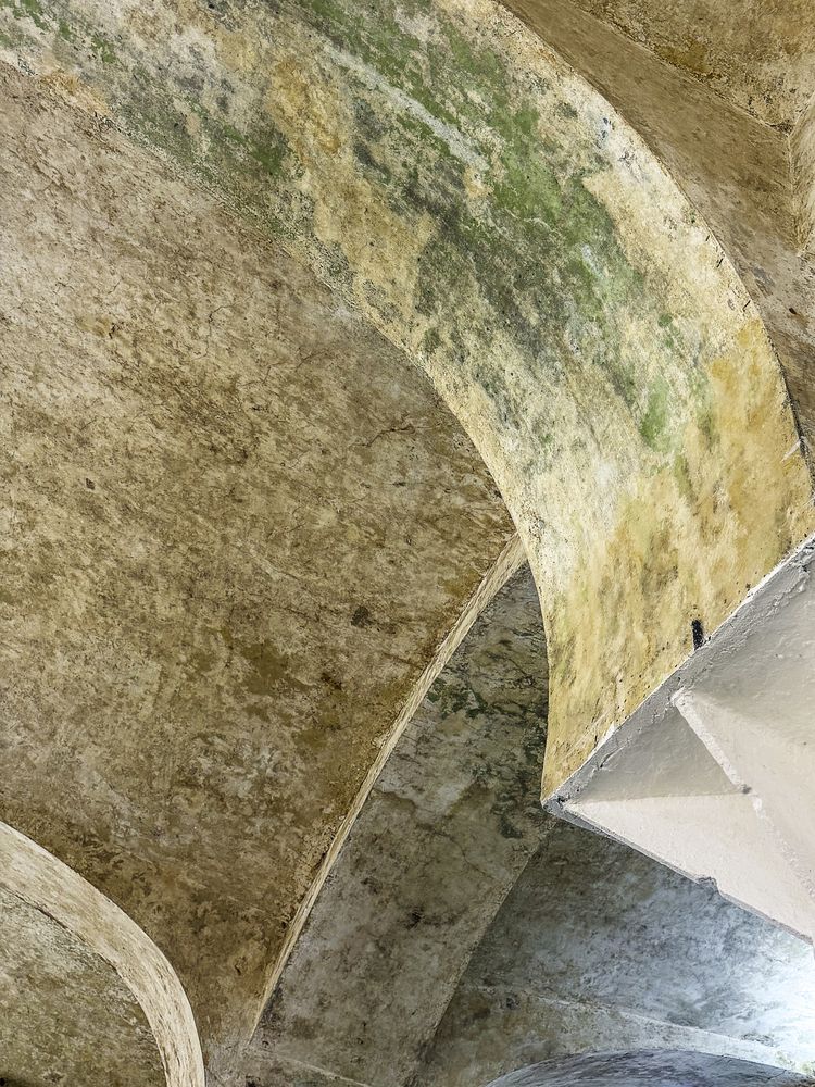 Photograph by Irina Grigoryeva