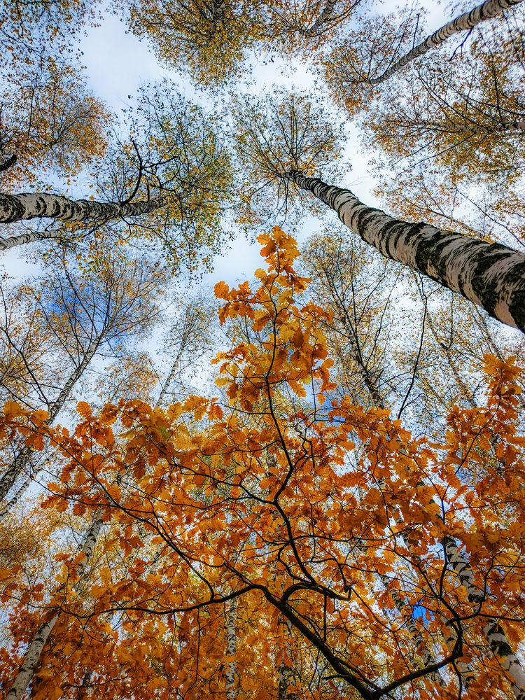 Photograph by Кондрашова Светлана