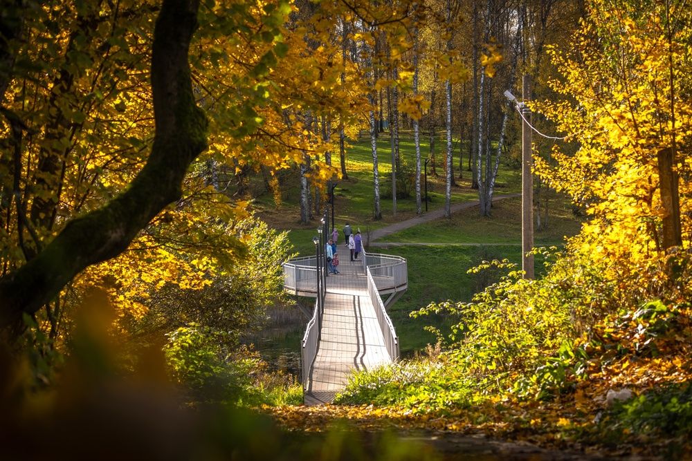 Photograph by Хабаров Сергей