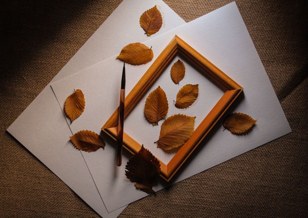 Photograph by Анна Зайченко