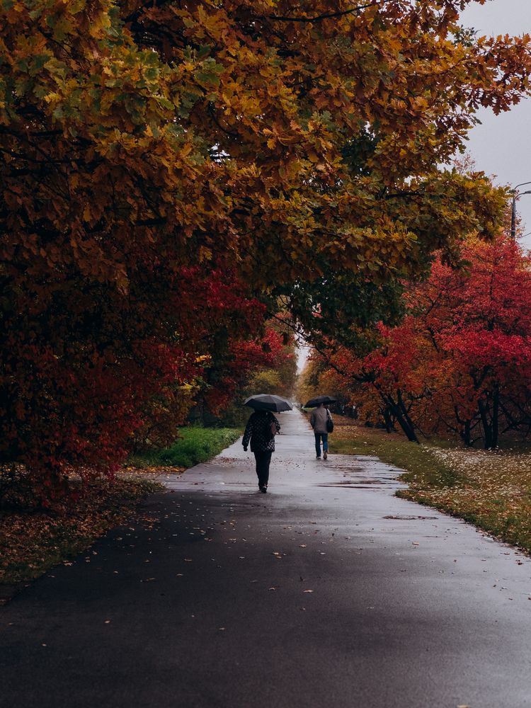 Photograph by ALISA NEZHINSKAYA