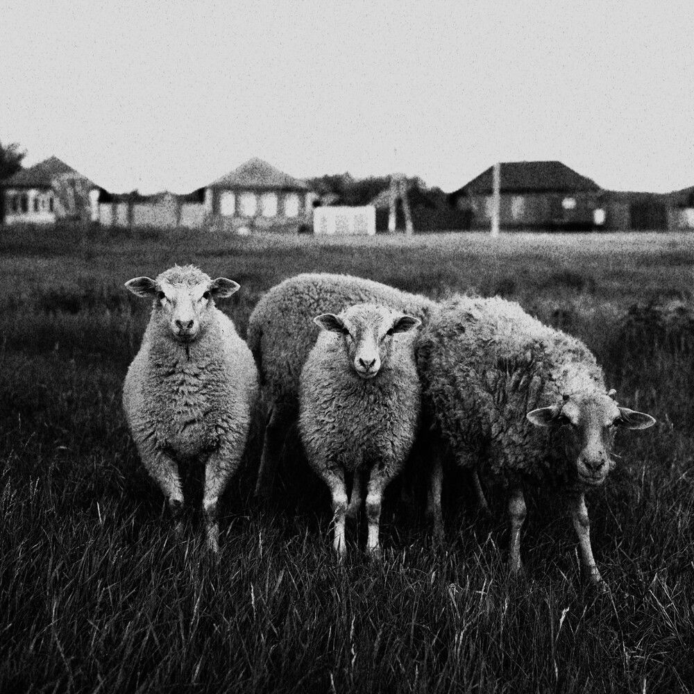 Photograph by Дарья Сушкова