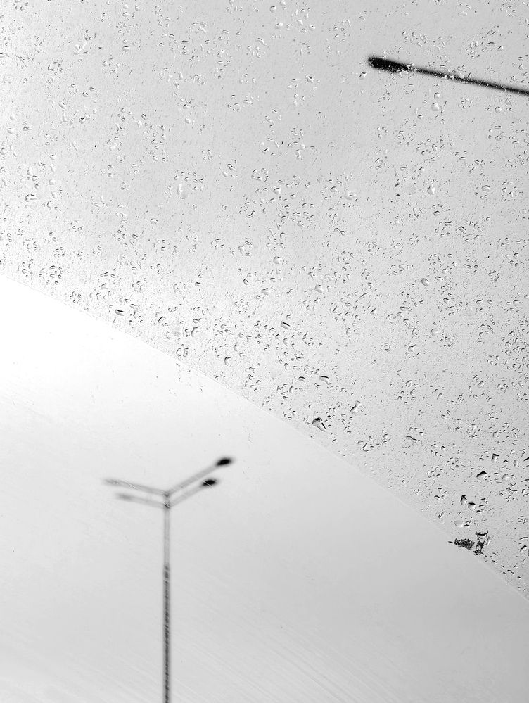 Фотография автора Сусанна Галоян