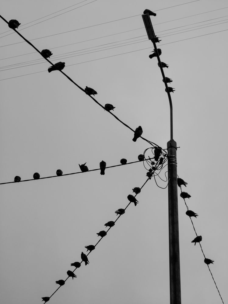 Photograph by Сергей Коклин