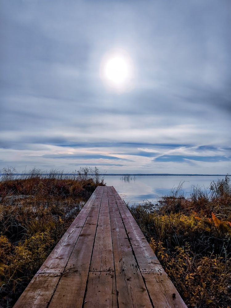 Photograph by Олеся Хижко