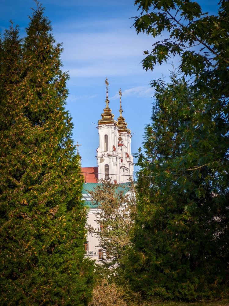 Фотография автора Alexandr Gorelenkov