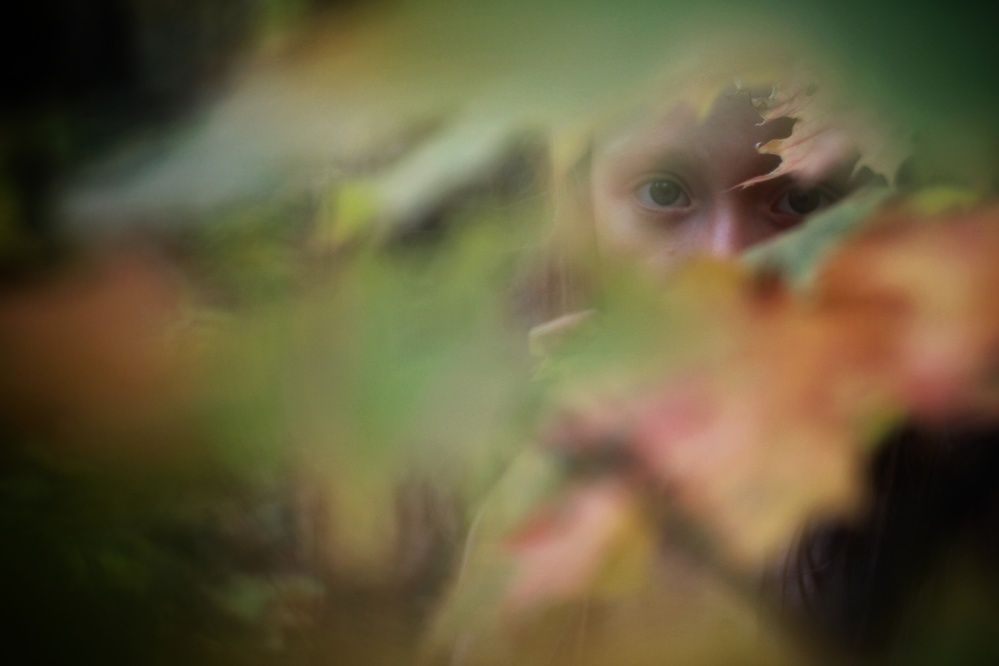 Photograph by AlexaL