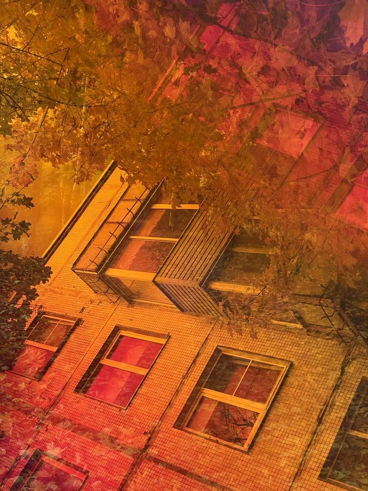 Photograph by Светлана Сергеева