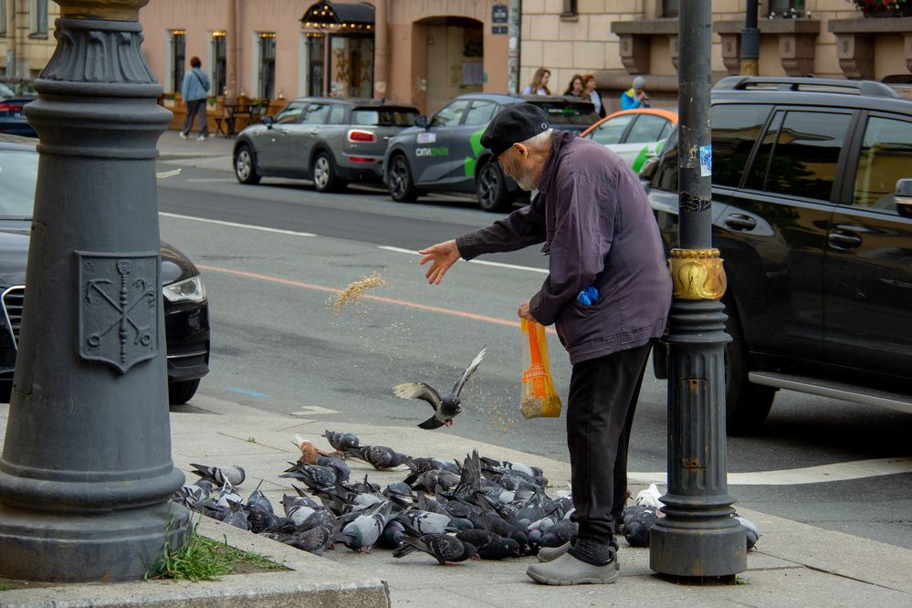 Вечерний ритуал