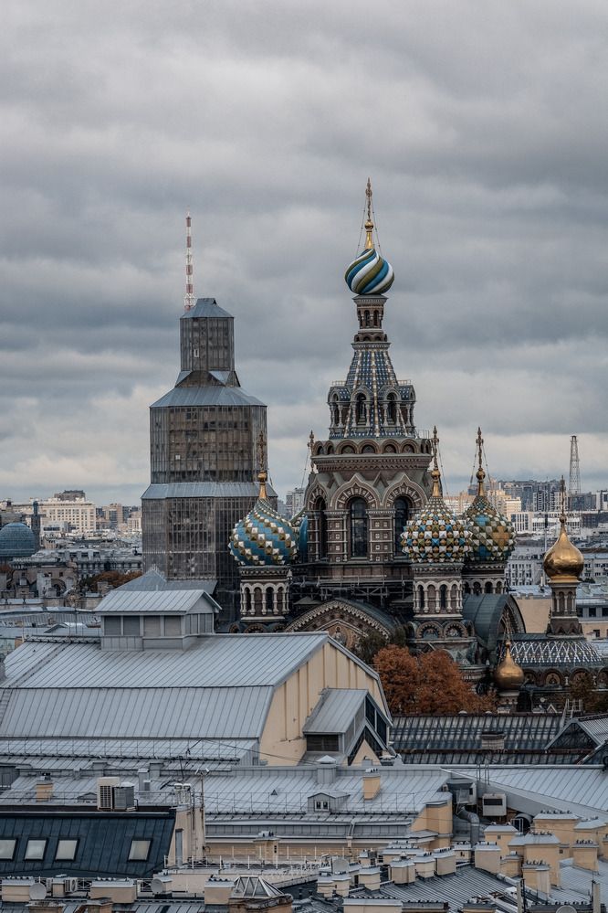 Фотография автора Ольга Волкова