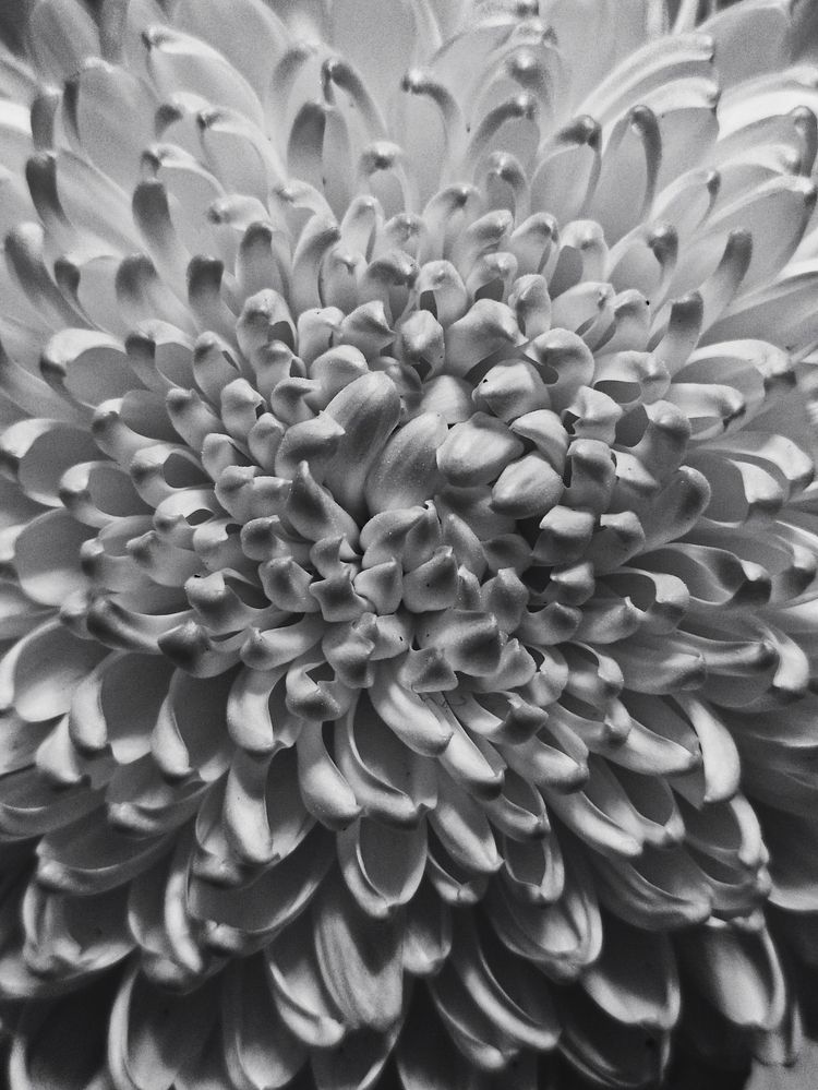 Photograph by Irina Alekseevskaya