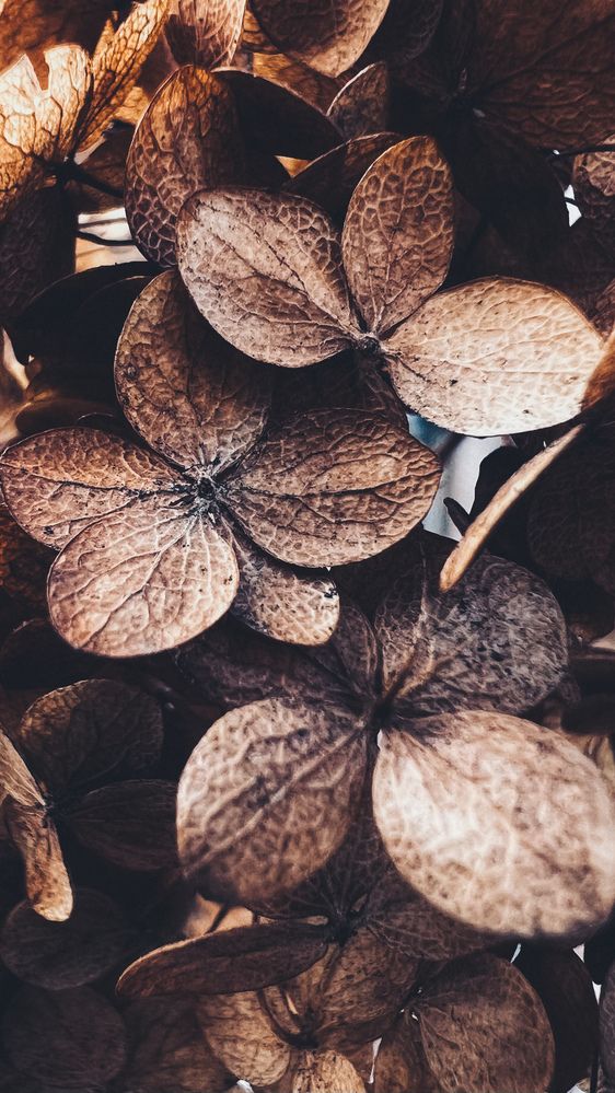 Photograph by Алена Жирова