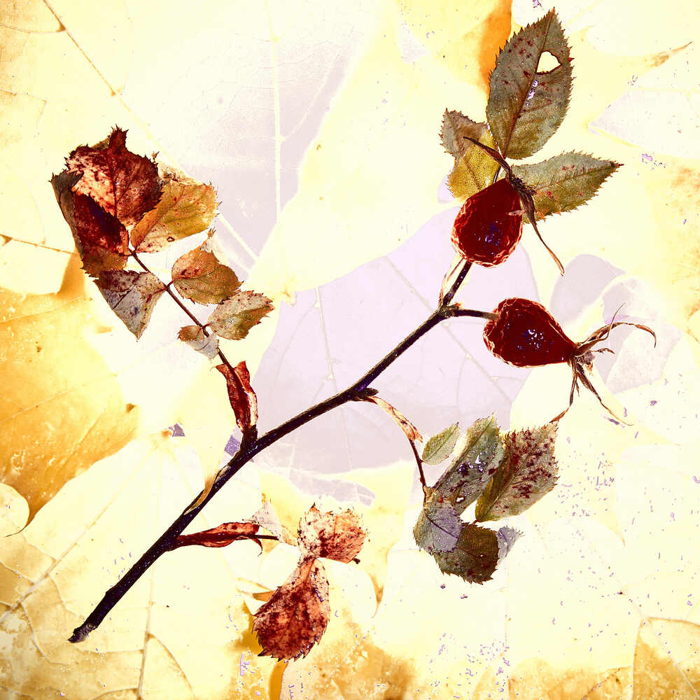 Photograph by Сергей Фадин