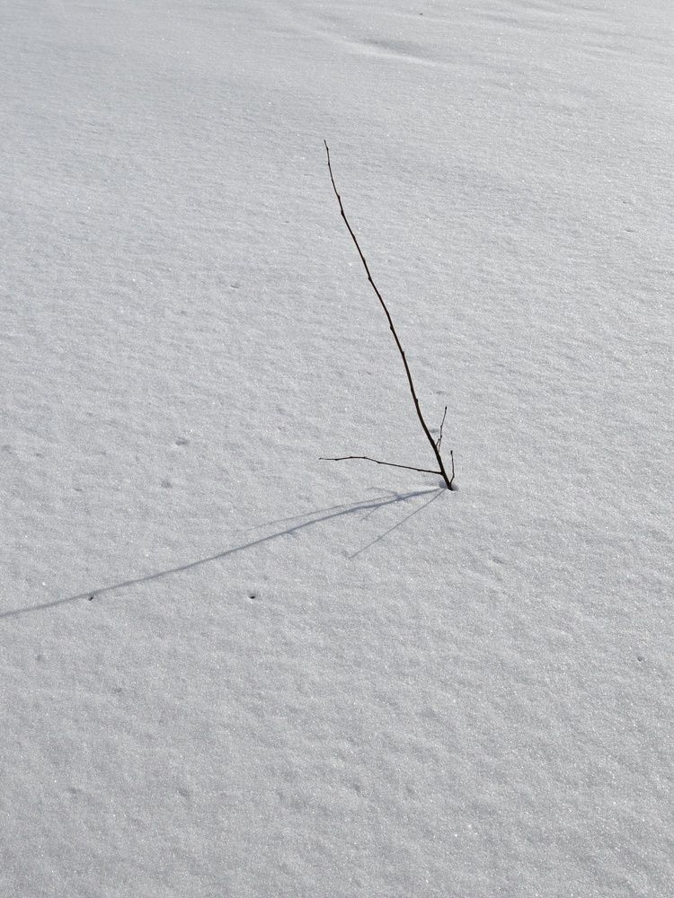 Photograph by Анастасия