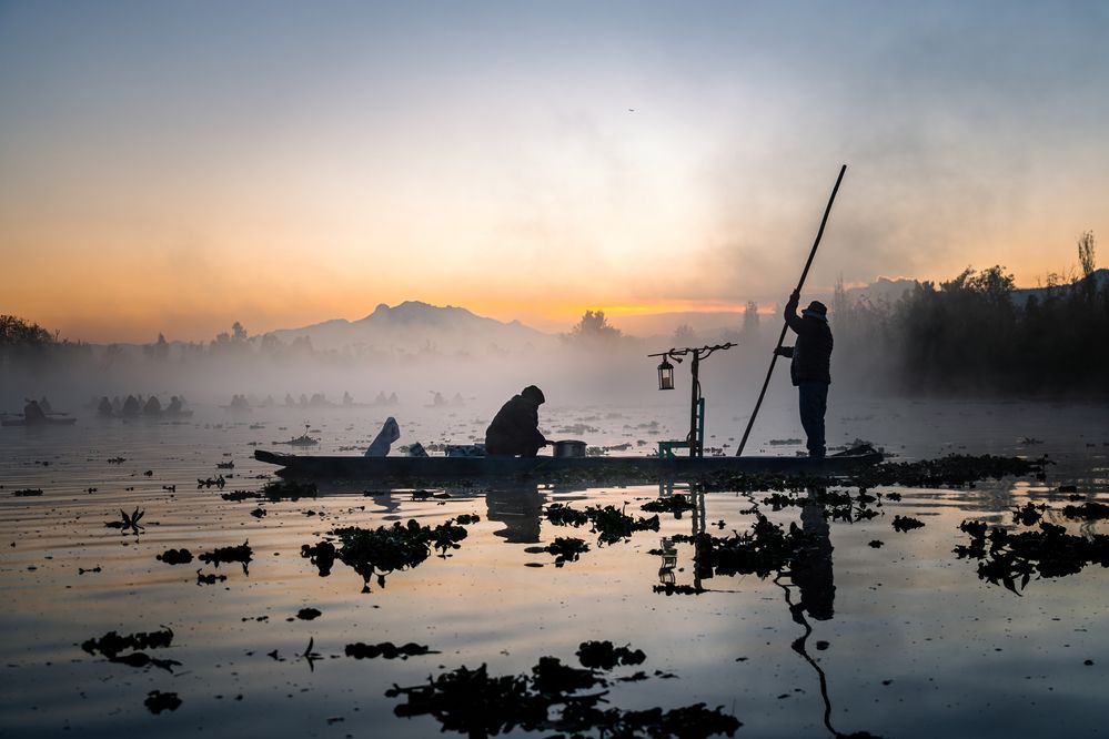 Aqua stall in the Mist