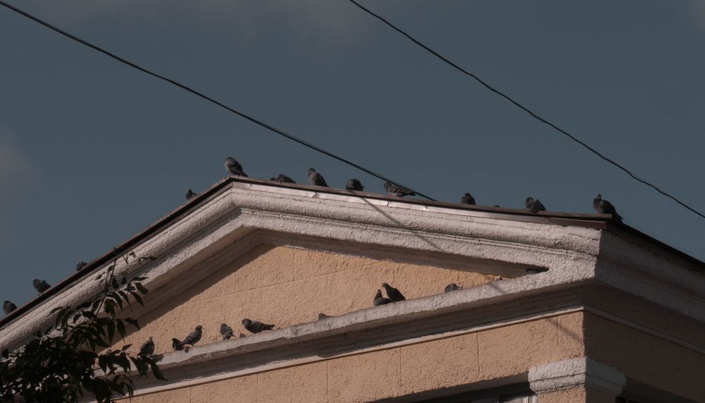 Photograph by Дмитрий Сердитов