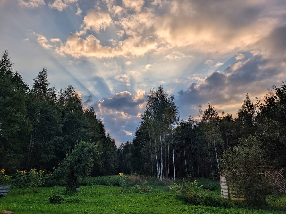 Photograph by Alexandr Gorelenkov